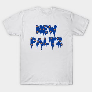 New Paltz Drippy Stars T-Shirt